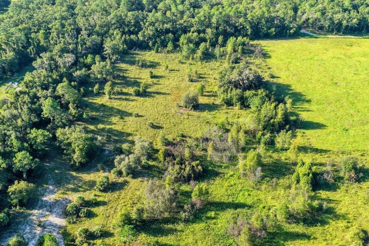 Ne Hwy 27th, Bronson, FL 32621 Photo