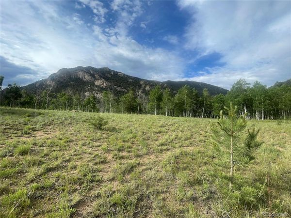 171 Emerald Way, Lake George, CO 80827