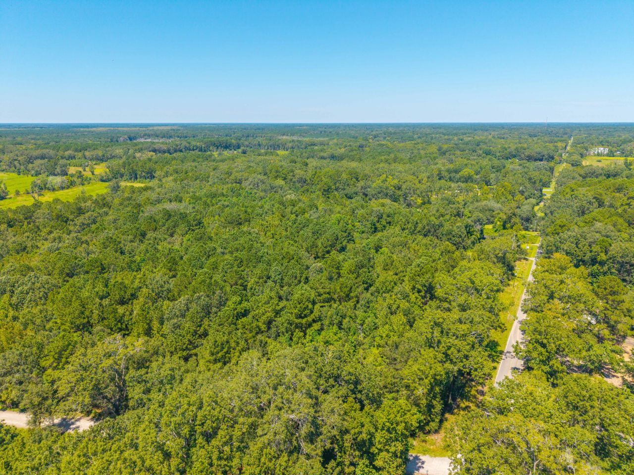 1718 Hope Plantation Lane Photo 7