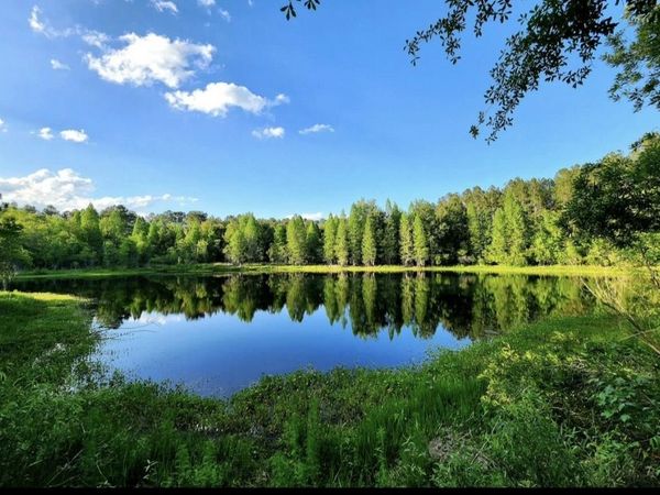 TBD SE 78th Place, White Springs, FL 32096