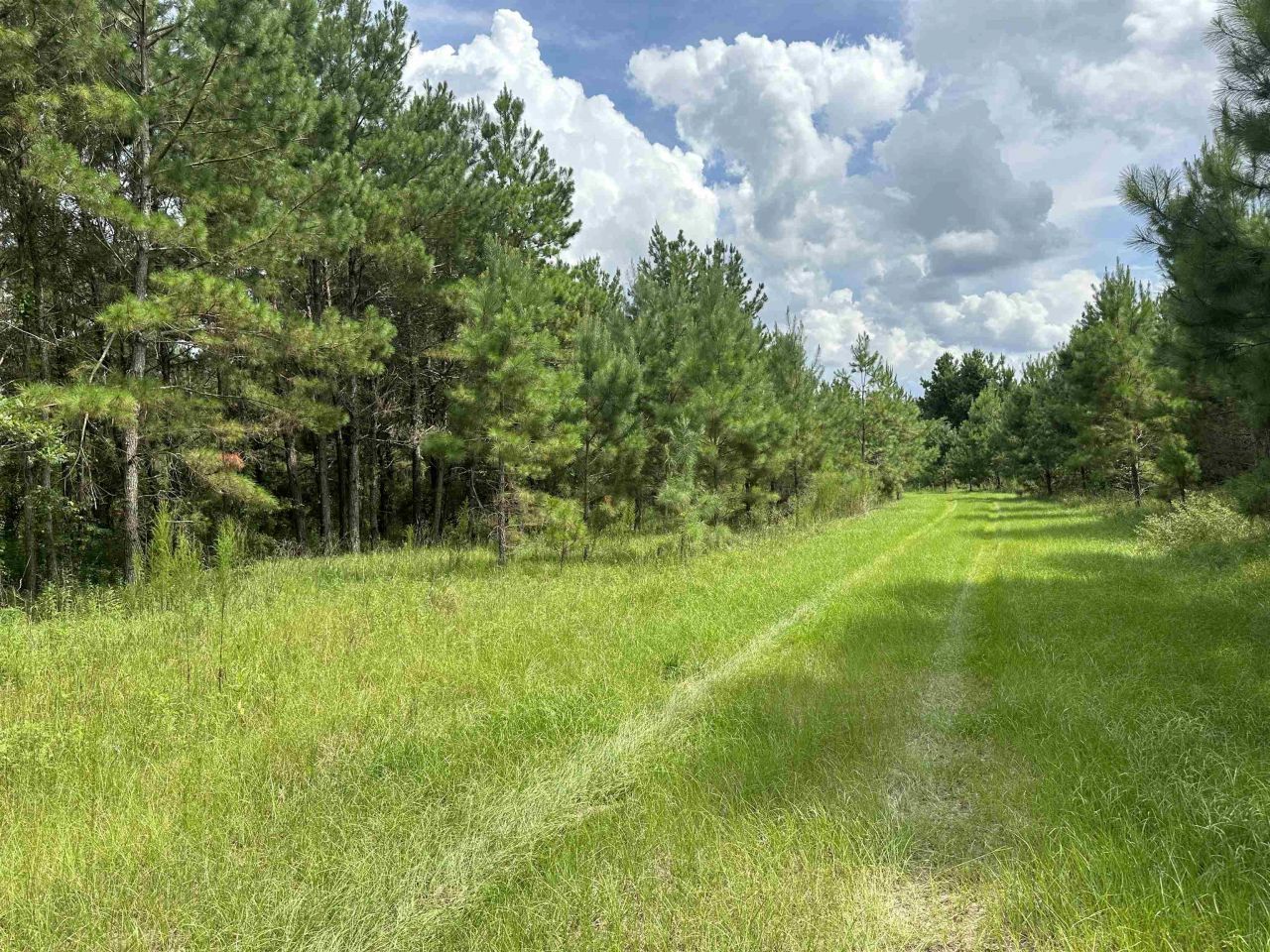 Tbd SE 78th Place, White Springs, FL 32096 Photo