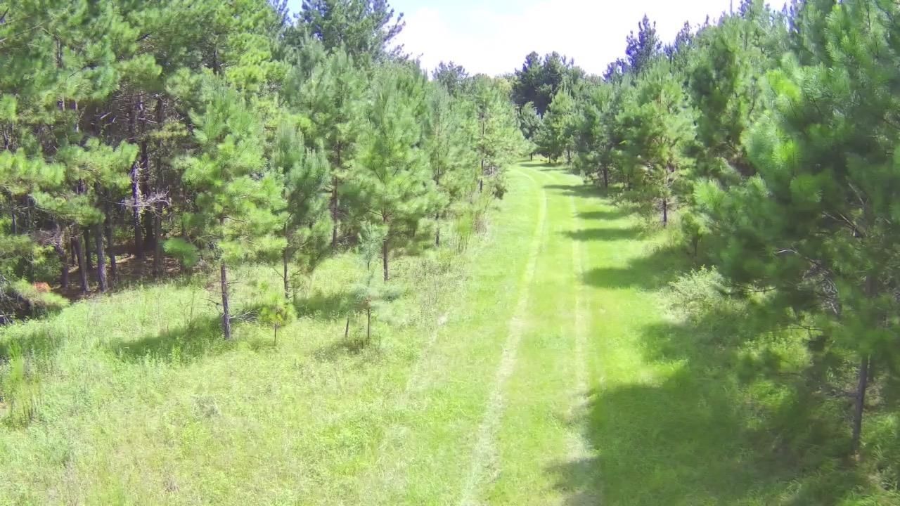 Tbd SE 78th Place, White Springs, FL 32096 Photo