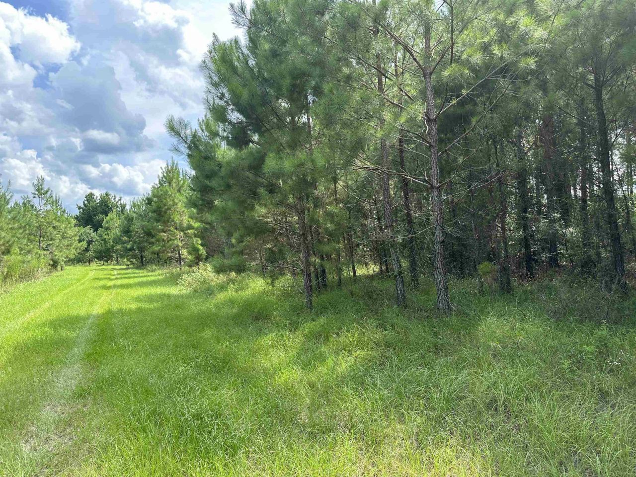 Tbd SE 78th Place, White Springs, FL 32096 Photo