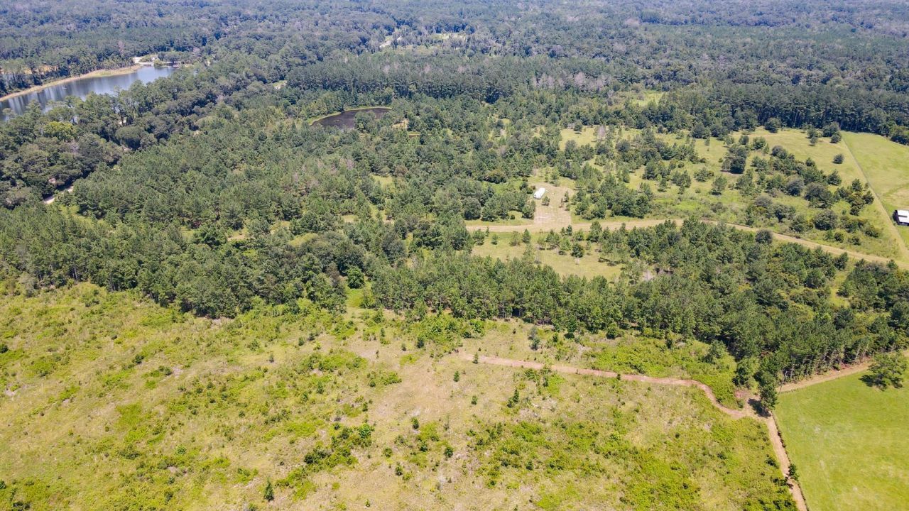 Tbd SE 78th Place, White Springs, FL 32096 Photo