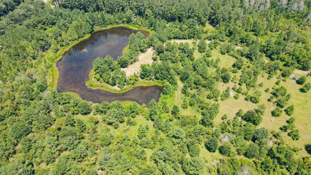 Tbd SE 78th Place, White Springs, FL 32096 Photo