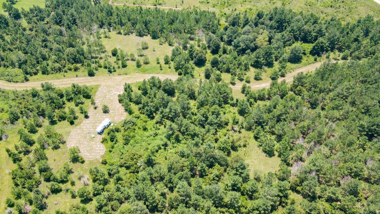 Tbd SE 78th Place, White Springs, FL 32096 Photo