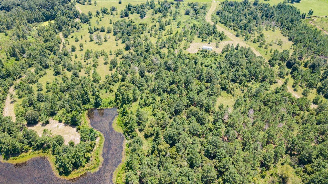 Tbd SE 78th Place, White Springs, FL 32096 Photo