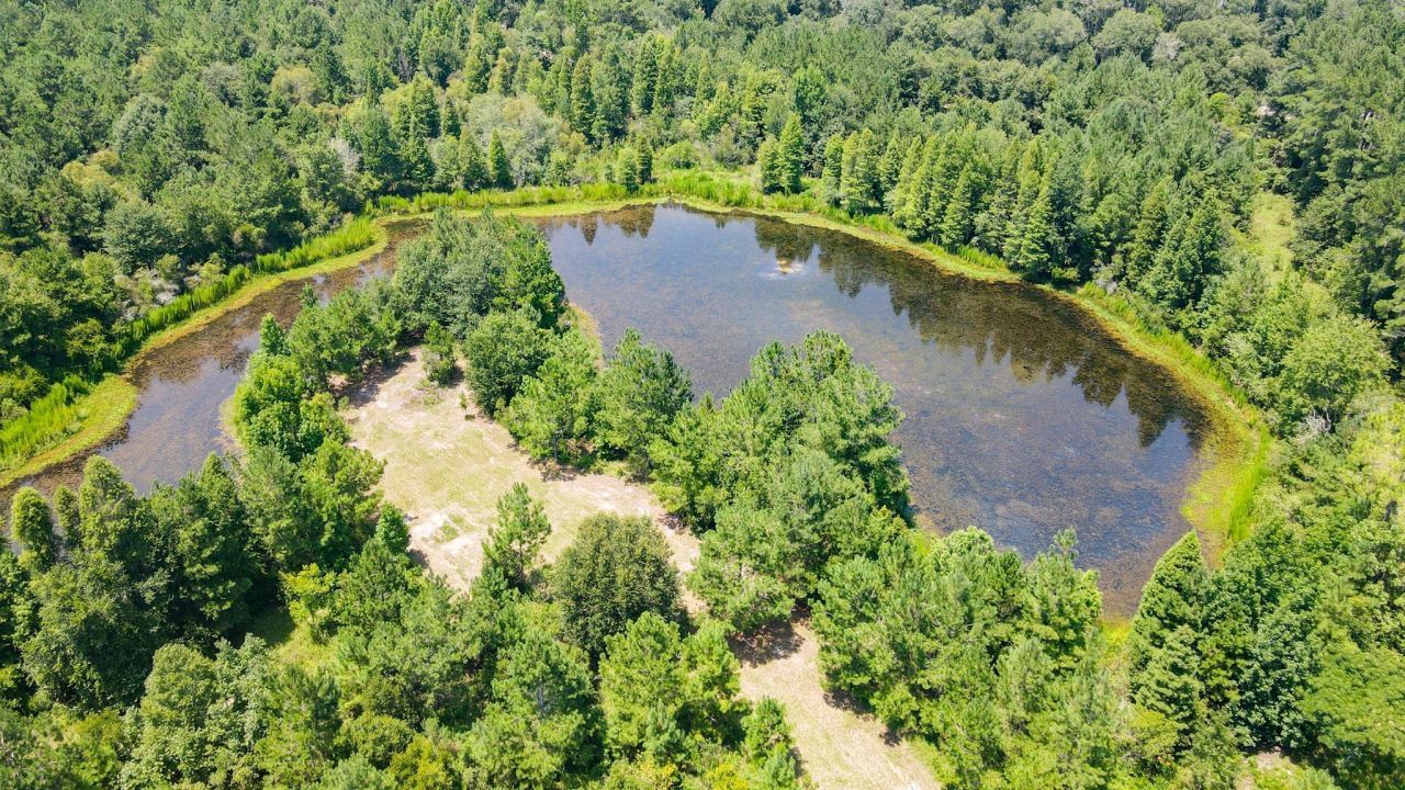 Tbd SE 78th Place, White Springs, FL 32096 Photo