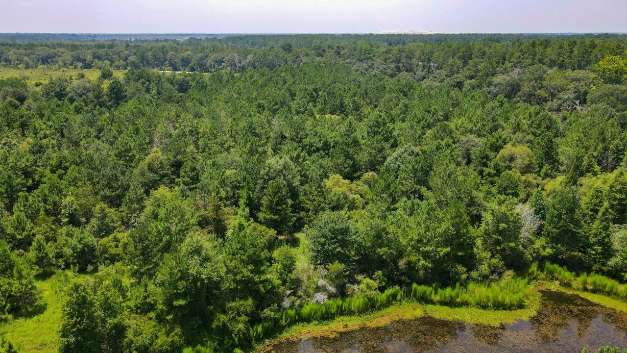 Tbd SE 78th Place, White Springs, FL 32096 Photo