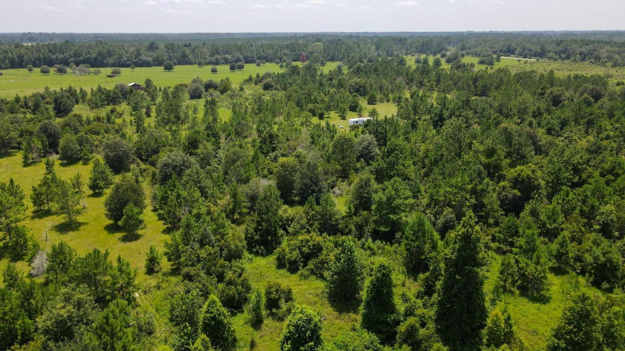 Tbd SE 78th Place, White Springs, FL 32096 Photo