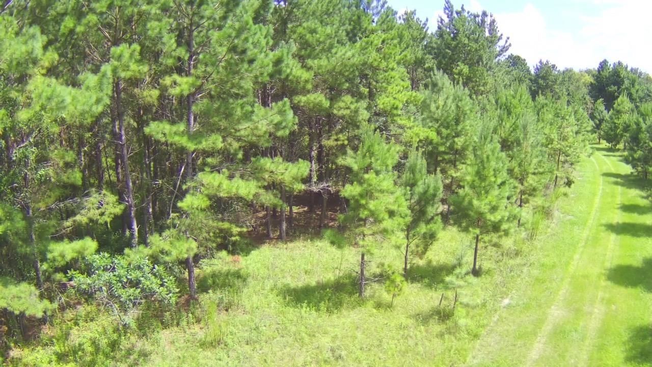 Tbd SE 78th Place, White Springs, FL 32096 Photo