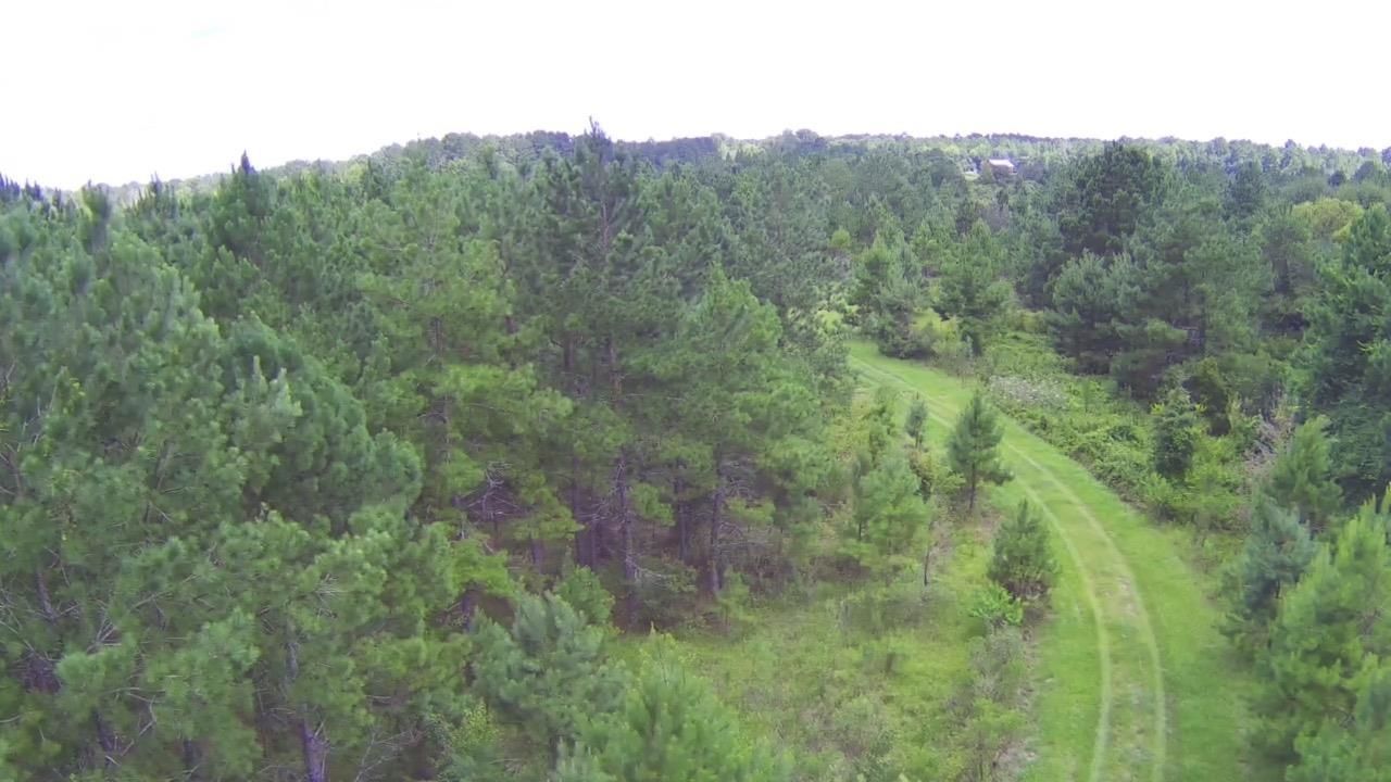 Tbd SE 78th Place, White Springs, FL 32096 Photo