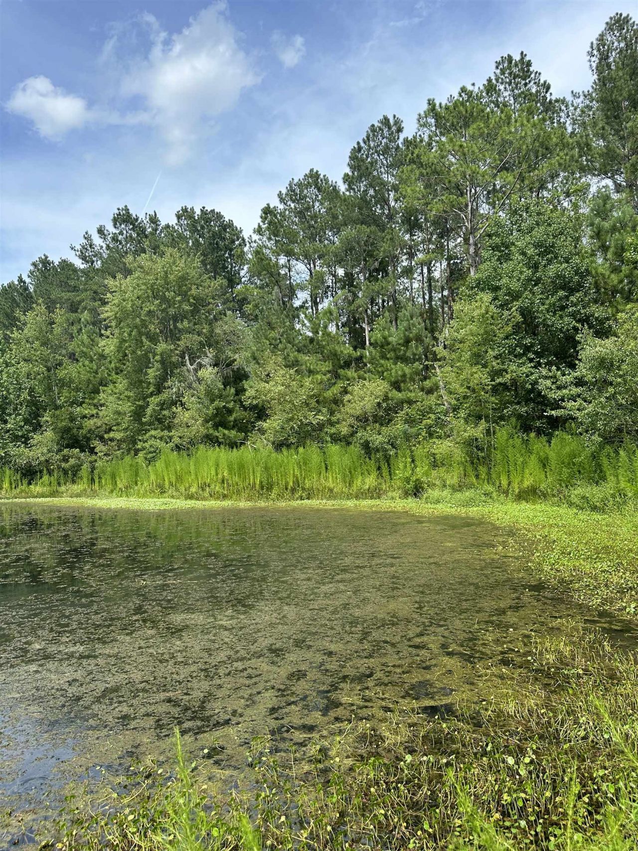 Tbd SE 78th Place, White Springs, FL 32096 Photo