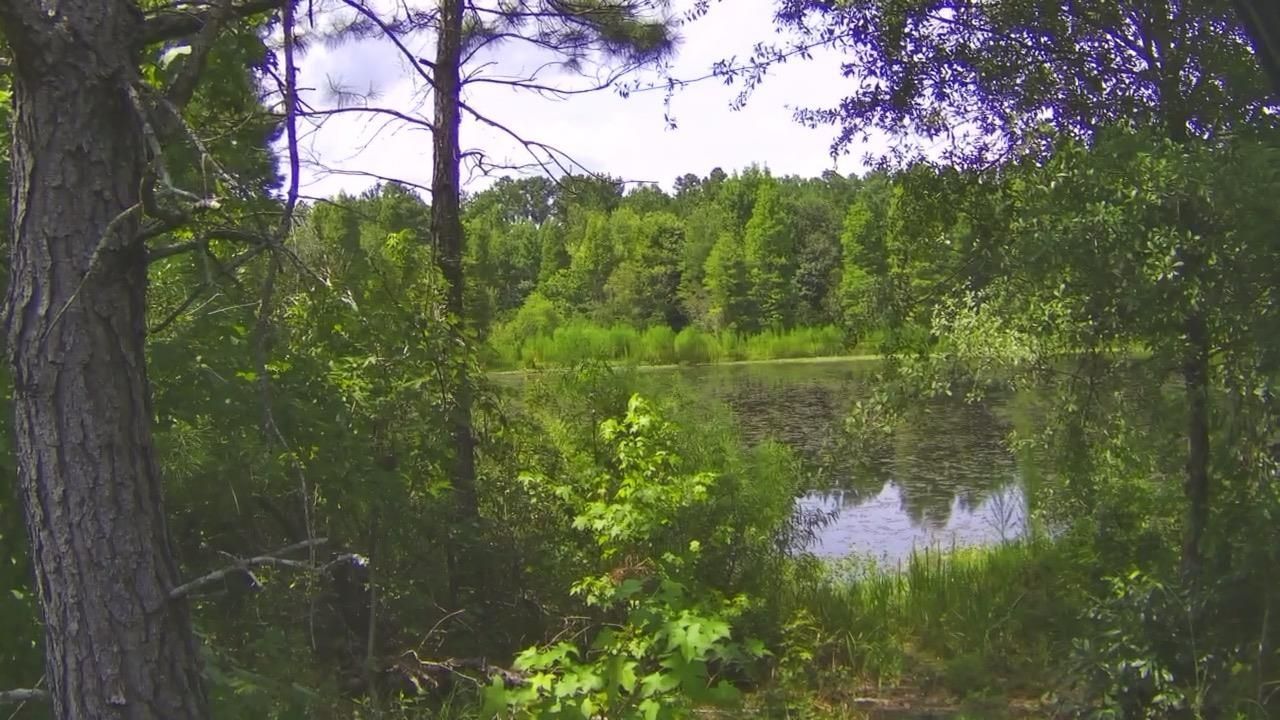 Tbd SE 78th Place, White Springs, FL 32096 Photo