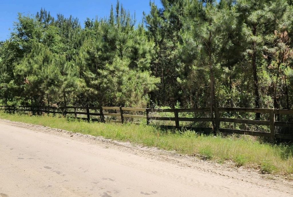 Tbd SE 78th Place, White Springs, FL 32096 Photo