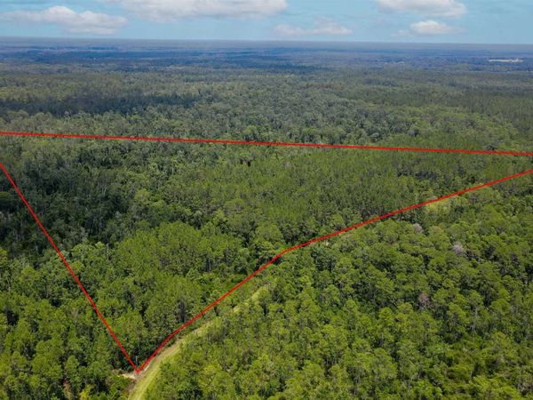 Lot 115 SW Pier Road, Greenville, FL 32331