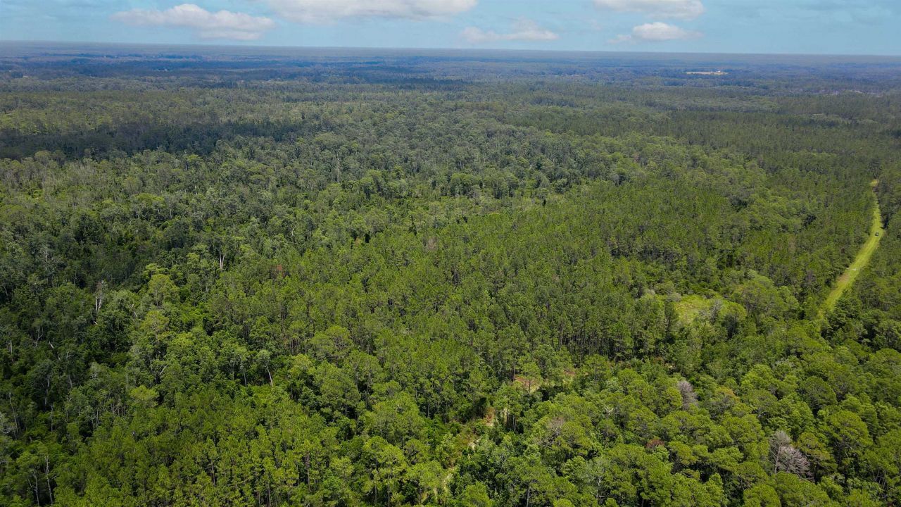 Lot 115 SW Pier Road, Greenville, FL 32331 Photo