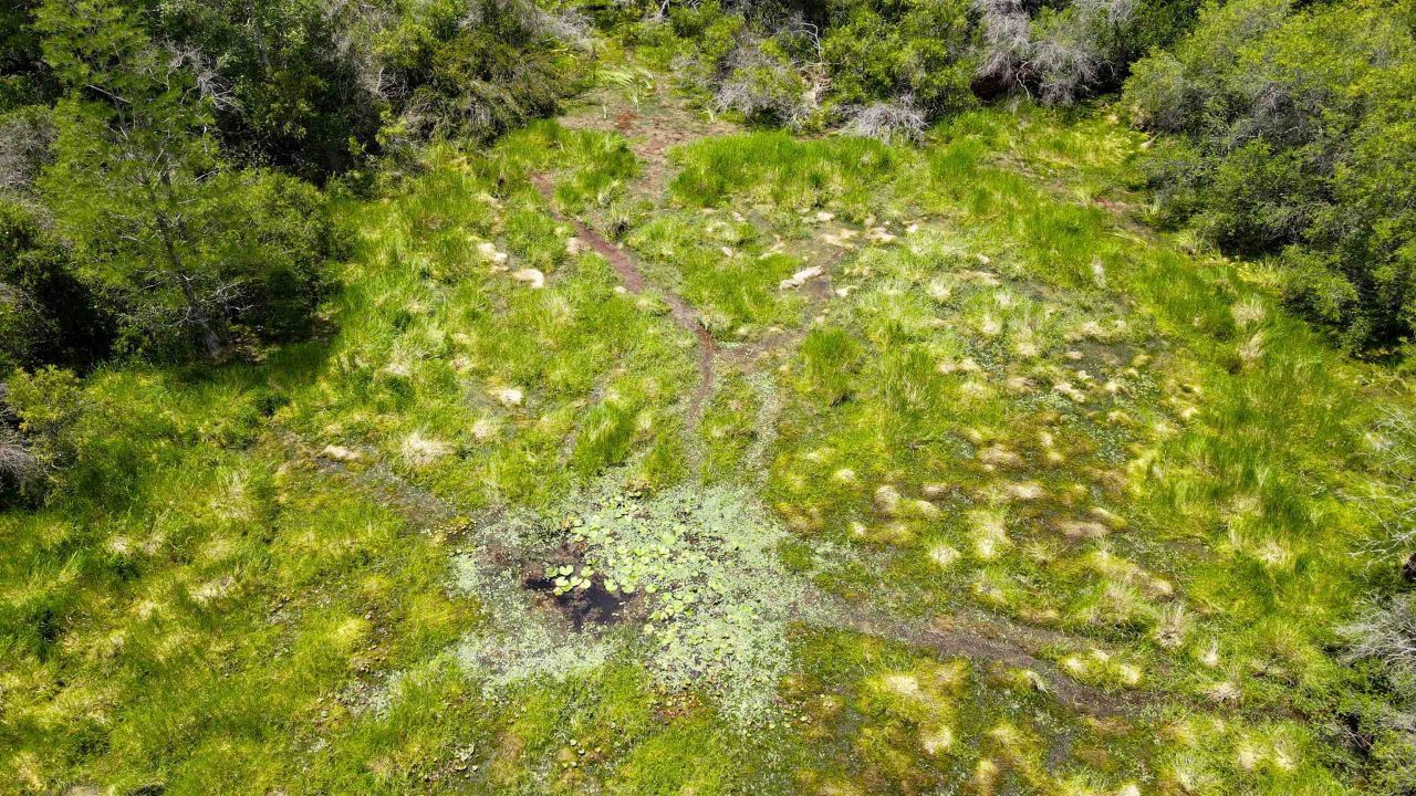 Lot 115 SW Pier Road, Greenville, FL 32331 Photo