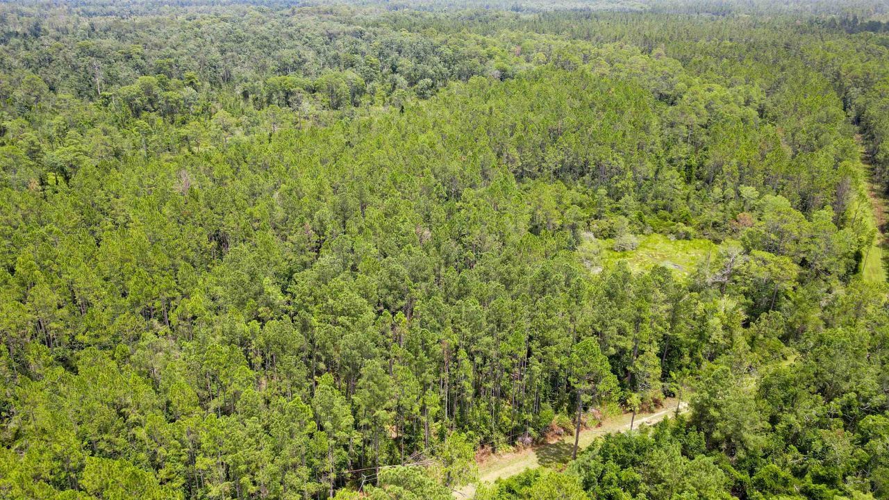 Lot 115 SW Pier Road, Greenville, FL 32331 Photo
