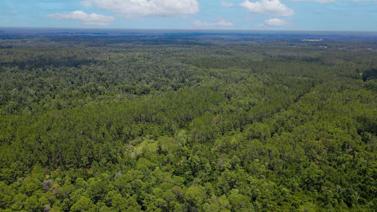 Lot 115 SW Pier Road, Greenville, FL 32331 Photo