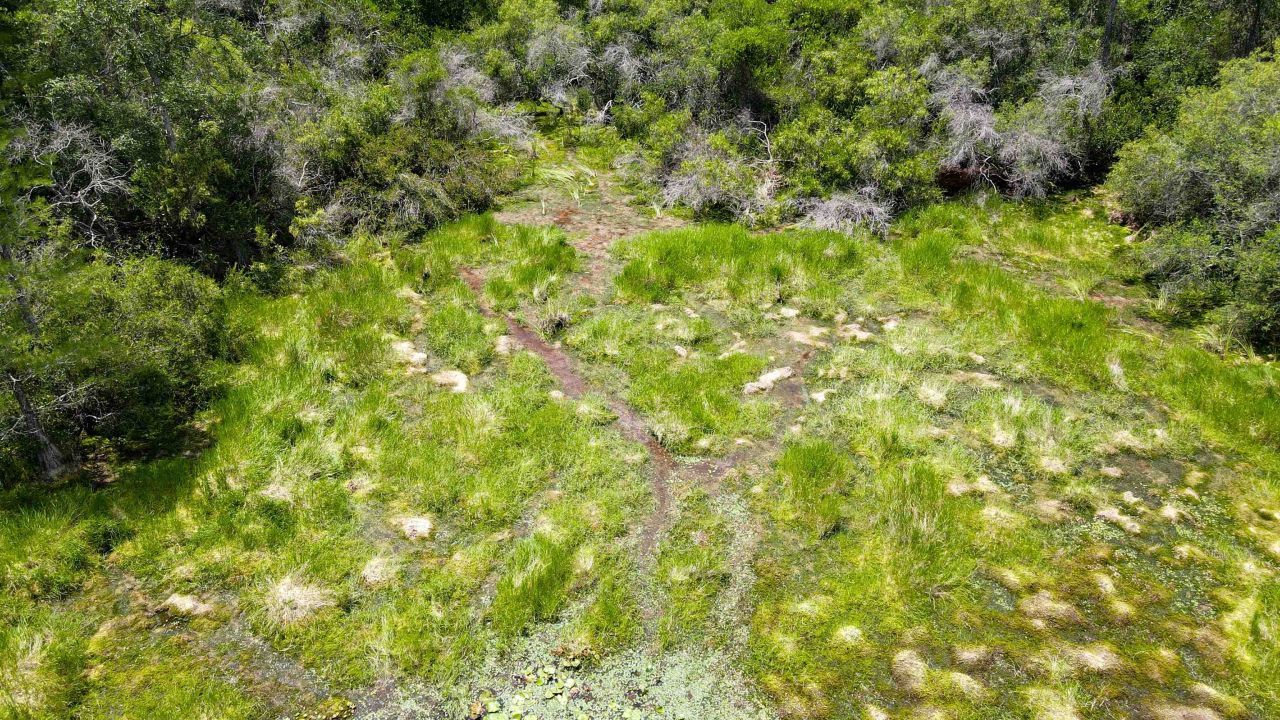 Lot 115 SW Pier Road, Greenville, FL 32331 Photo