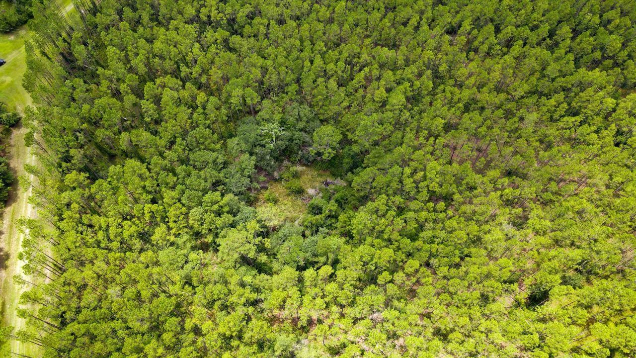 Lot 121 SW Pacific Drive, Greenville, FL 32331 Photo