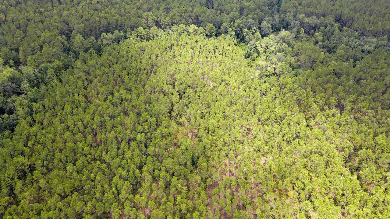 Lot 121 SW Pacific Drive, Greenville, FL 32331 Photo