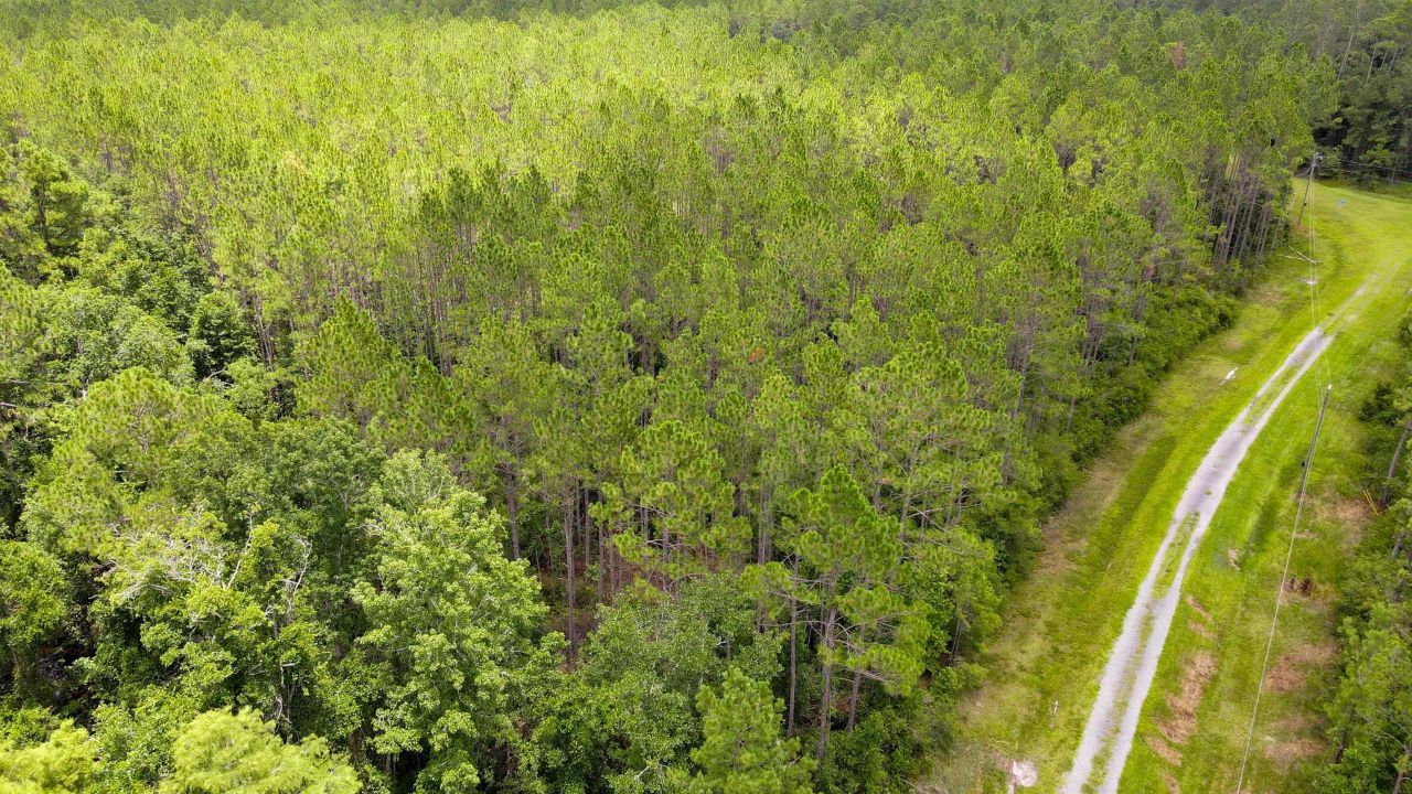 Lot 121 SW Pacific Drive, Greenville, FL 32331 Photo