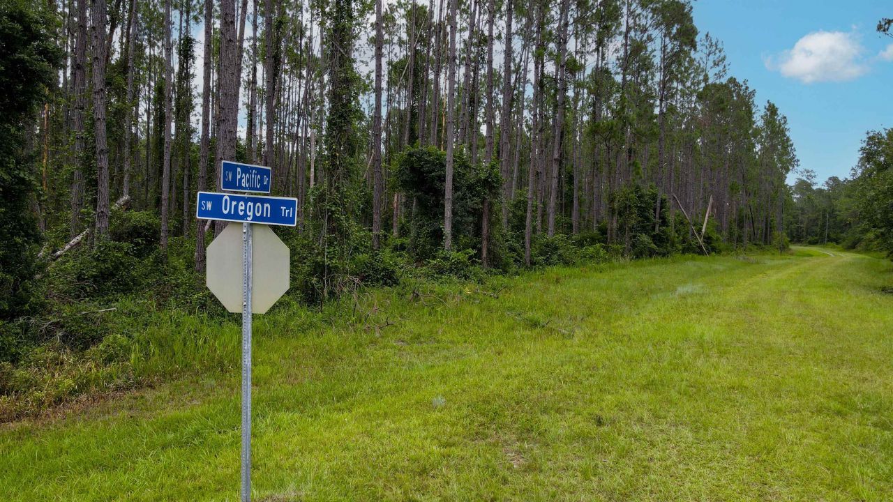 Lot 121 SW Pacific Drive, Greenville, FL 32331 Photo