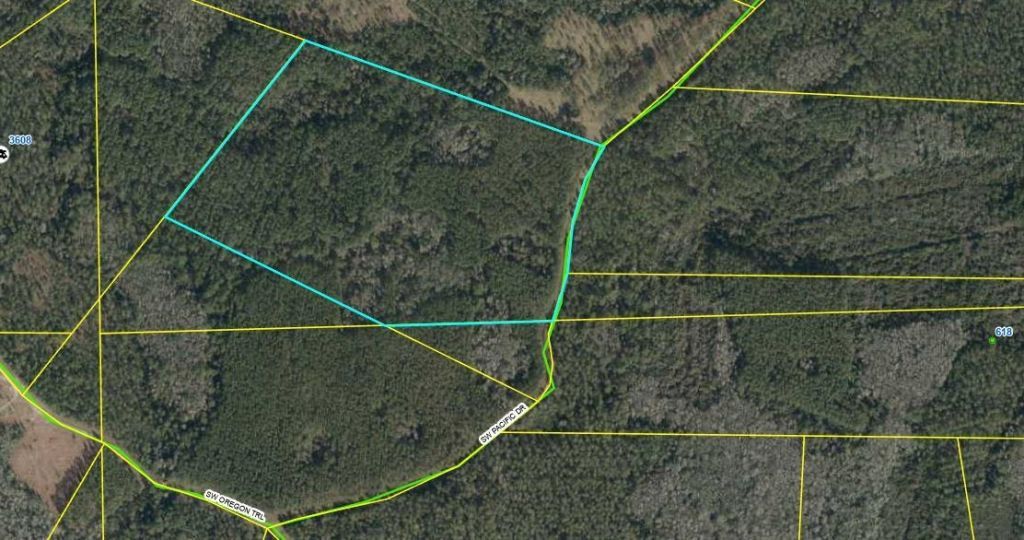 Lot 121 SW Pacific Drive, Greenville, FL 32331 Photo