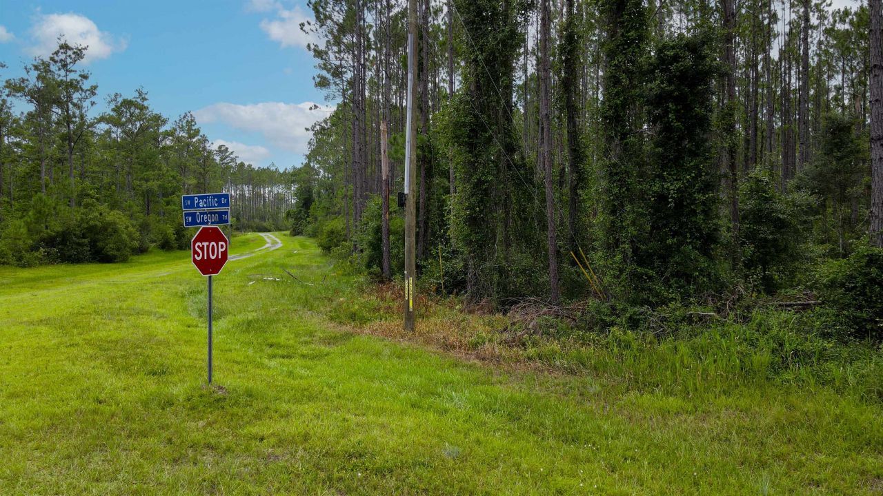 Lot 121 SW Pacific Drive, Greenville, FL 32331 Photo