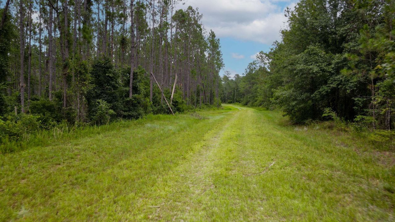Lot 121 SW Pacific Drive, Greenville, FL 32331 Photo