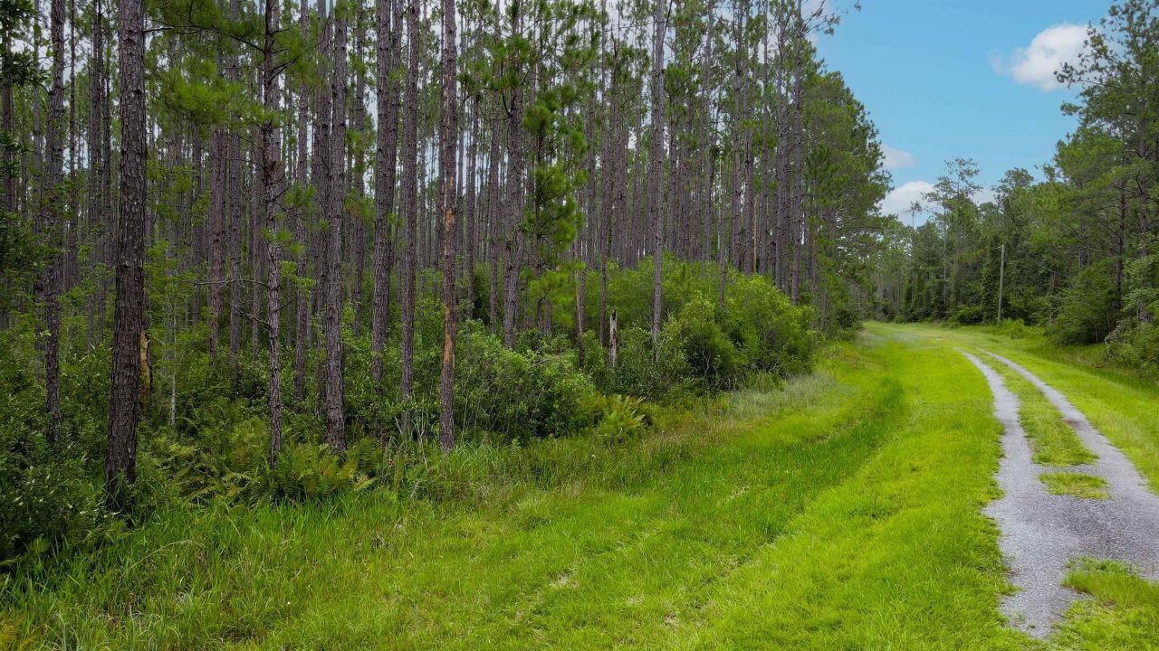 Lot 121 SW Pacific Drive, Greenville, FL 32331 Photo