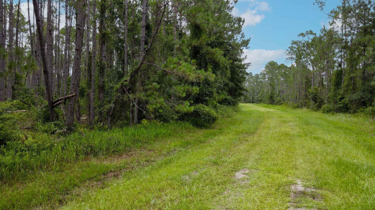 Lot 121 SW Pacific Drive, Greenville, FL 32331 Photo