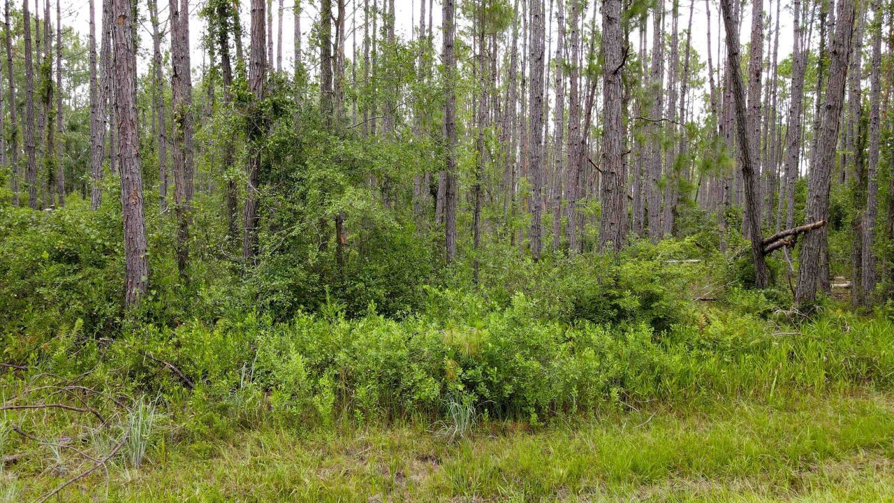 Lot 121 SW Pacific Drive, Greenville, FL 32331 Photo