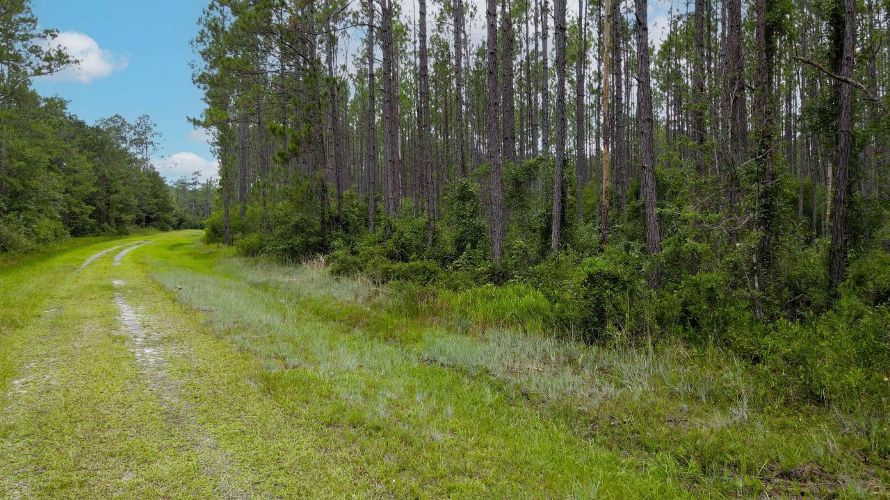 Lot 121 SW Pacific Drive, Greenville, FL 32331 Photo