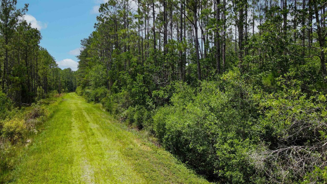 Lot 121 SW Pacific Drive, Greenville, FL 32331 Photo