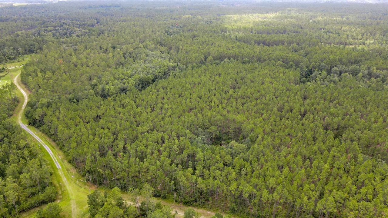 Lot 121 SW Pacific Drive, Greenville, FL 32331 Photo