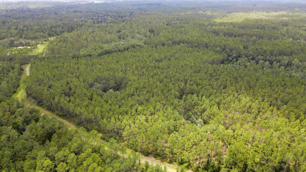 Lot 121 SW Pacific Drive, Greenville, FL 32331 Photo