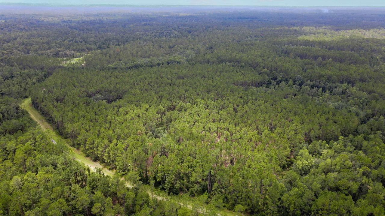 Lot 121 SW Pacific Drive, Greenville, FL 32331 Photo