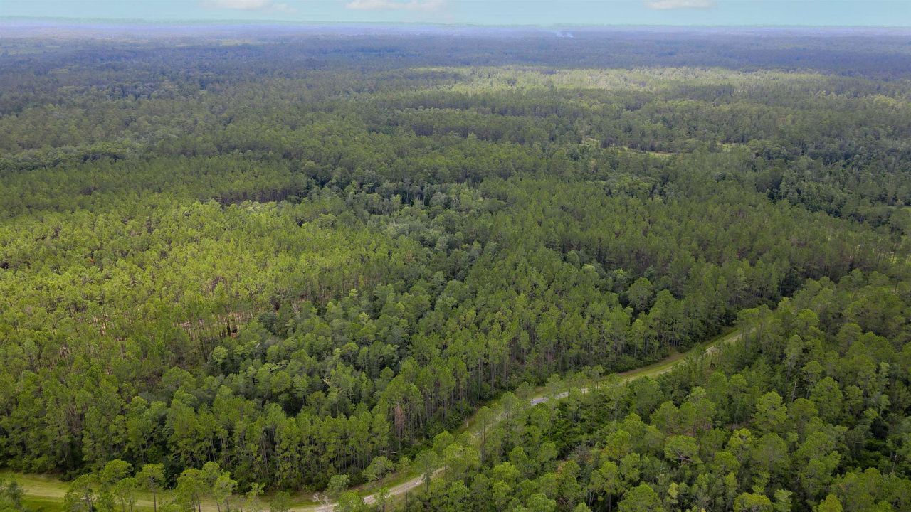 Lot 121 SW Pacific Drive, Greenville, FL 32331 Photo