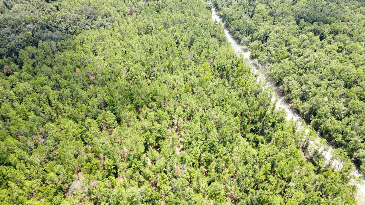 2 Royal Springs 198th Terrace, Lot #Lot 2, O Brien, FL 32071 Photo