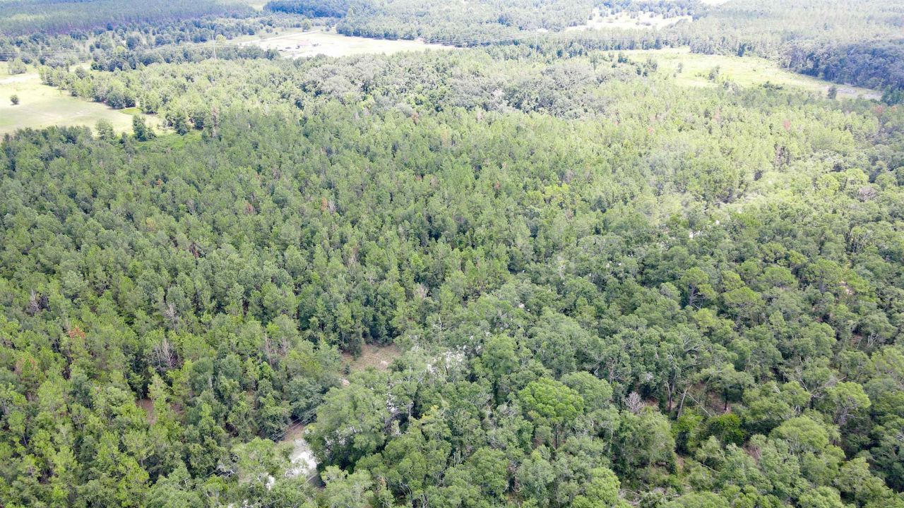 2 Royal Springs 198th Terrace, Lot #Lot 2, O Brien, FL 32071 Photo