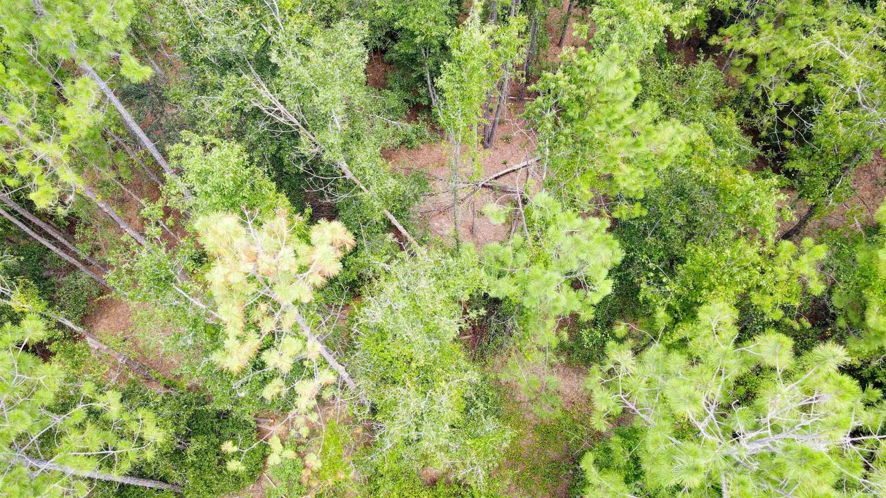 2 Royal Springs 198th Terrace, Lot #Lot 2, O Brien, FL 32071 Photo