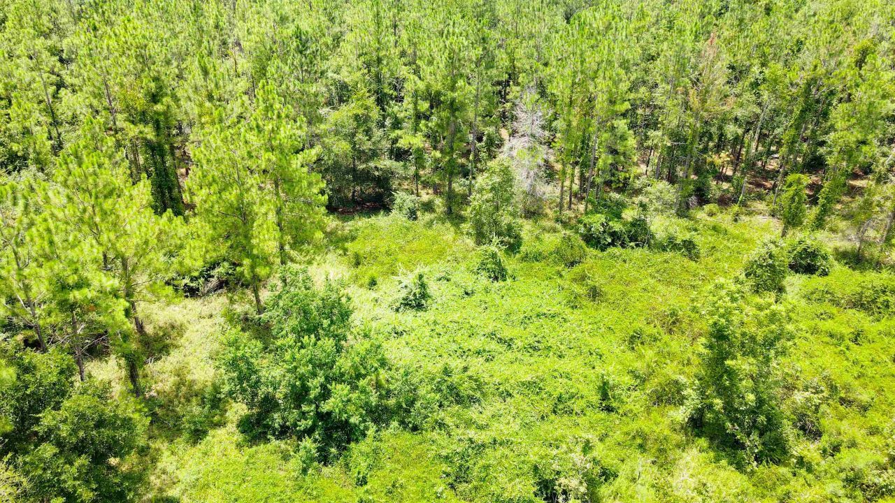 2 Royal Springs 198th Terrace, Lot #Lot 2, O Brien, FL 32071 Photo