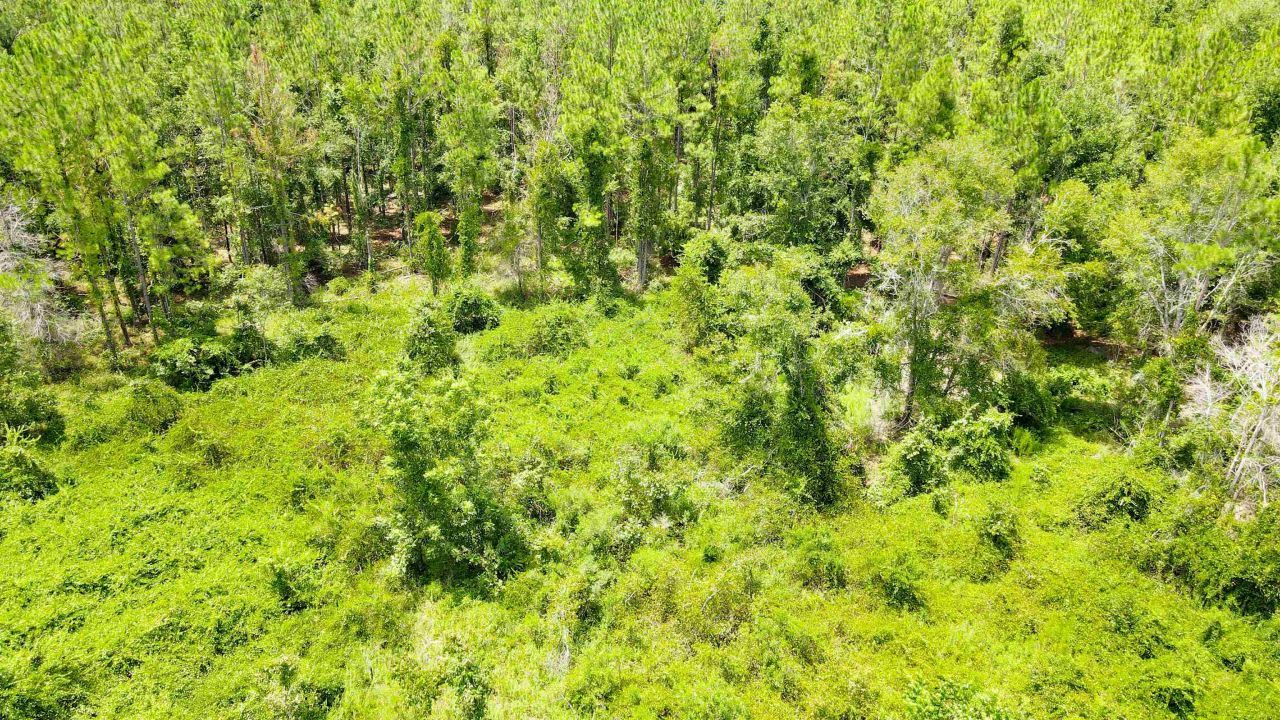 2 Royal Springs 198th Terrace, Lot #Lot 2, O Brien, FL 32071 Photo