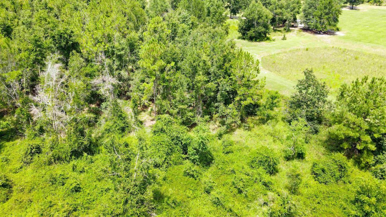 2 Royal Springs 198th Terrace, Lot #Lot 2, O Brien, FL 32071 Photo