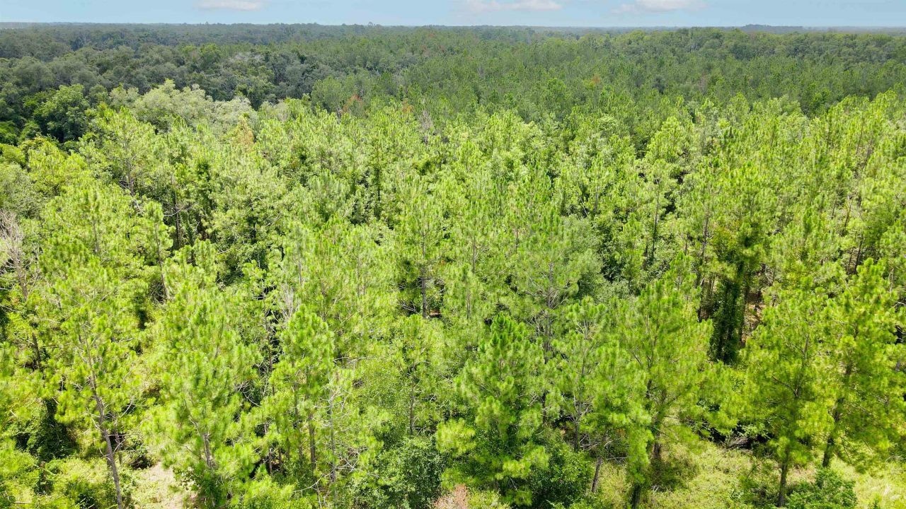 2 Royal Springs 198th Terrace, Lot #Lot 2, O Brien, FL 32071 Photo