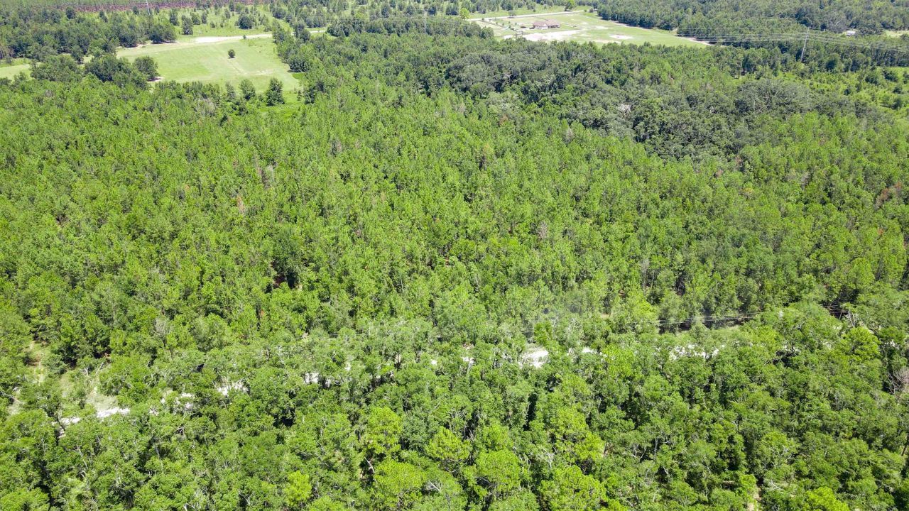 2 Royal Springs 198th Terrace, Lot #Lot 2, O Brien, FL 32071 Photo