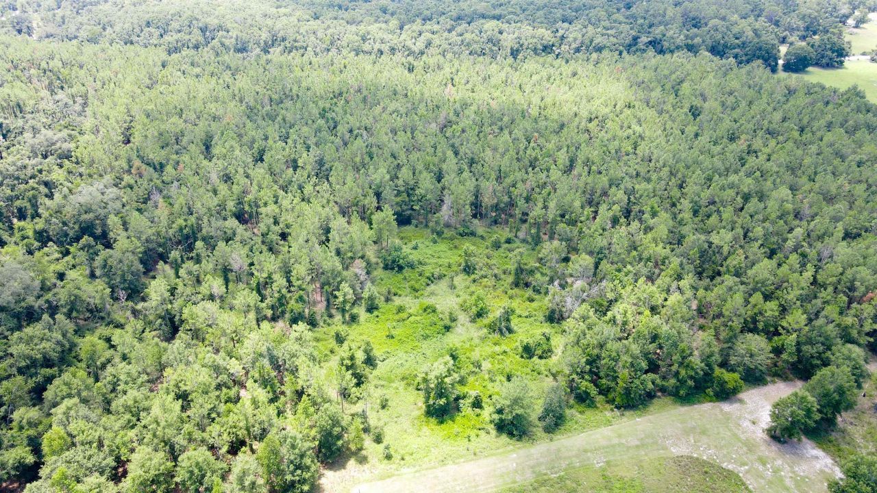 2 Royal Springs 198th Terrace, Lot #Lot 2, O Brien, FL 32071 Photo